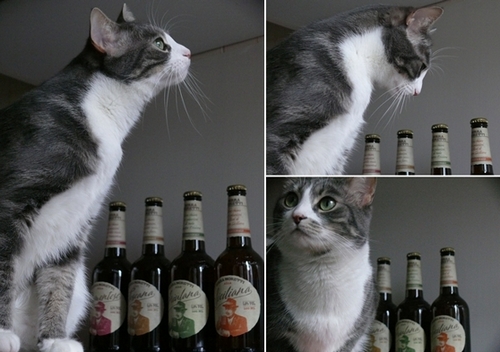oliver e la birra moretti