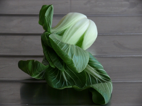 pak choi