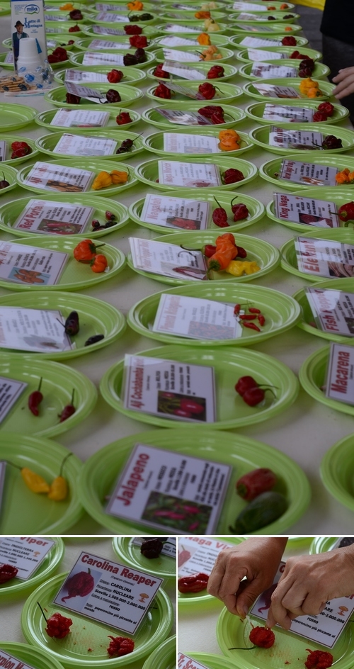 assaggio-peperoncini-carolina-reaper