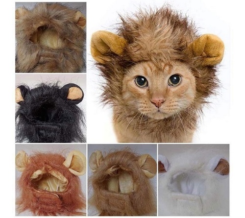 criniera per gatti
