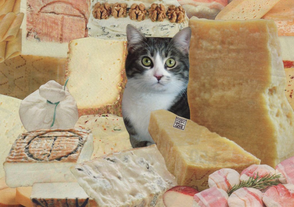 degattoupage 6 oliver formaggiaio