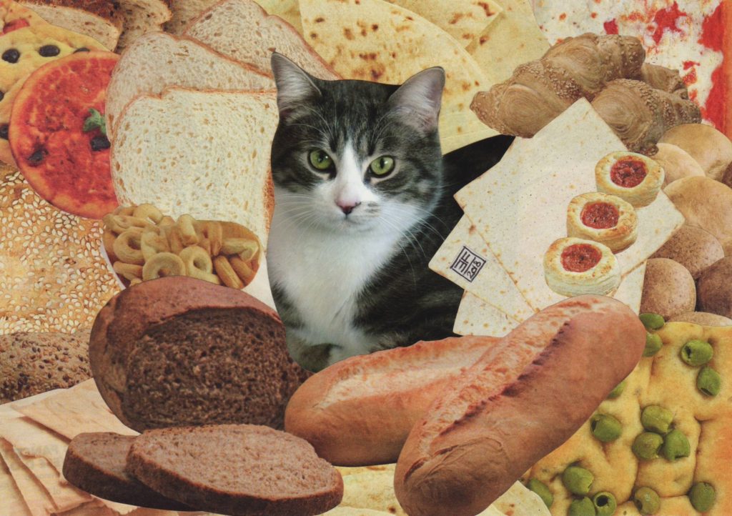 degattoupage 7 oliver panettiere