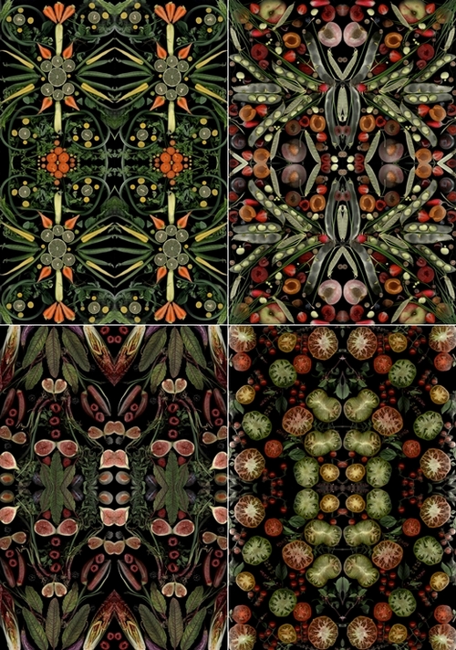 seasonal food scans henry hargreaves