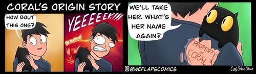 weflaps cody stone stowe