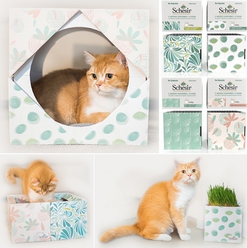 schesir cuccia gatto